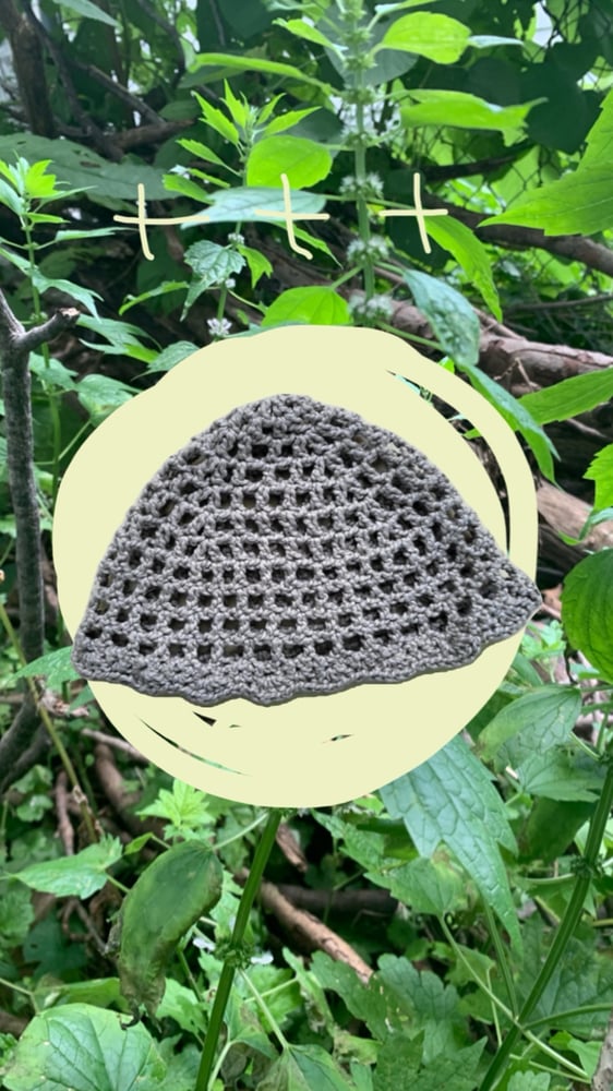 Image of Grey Scallop Skullcap
