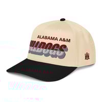 Image 3 of AAU MASCOT HAT
