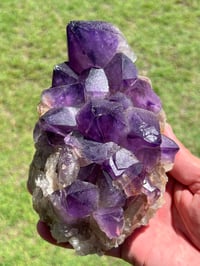 Image 8 of Amethyst Points Cluster |Congo #2909