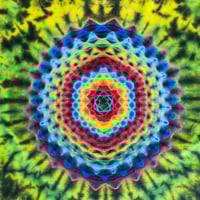 Image 3 of XXXL disco alligator