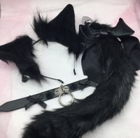 Black/ black Petplay 🐱 set