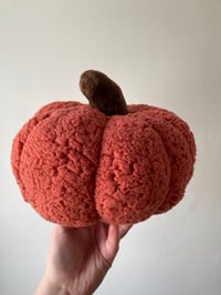 Image 1 of Fluffy pumpkin - Large.