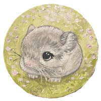 Image 1 of baby chinchilla 🌸