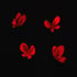 Red Butterfly 4 Set Image 2