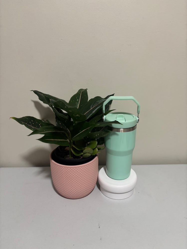 Gloss Drink Bottle (20oz)