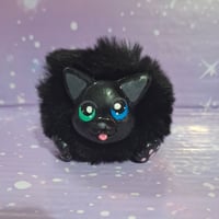 Image 1 of Black cat Fluffenscale 