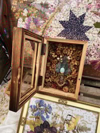 Image 2 of Vertebrae Garden Curiosity