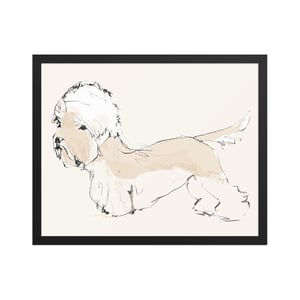 Image of DANDIE DINMONT TERRIER