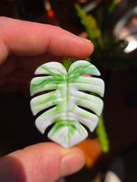 Image 2 of Variegated monstera leaf pendant 