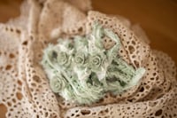 Image 1 of Minty Dream
