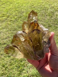 Image 11 of Smoky Citrine Points Cluster #1877