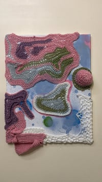 Image 1 of Petri map