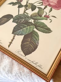 Image 4 of Cadres botaniques