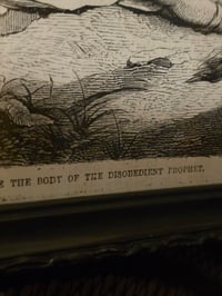 Image 4 of “Lion and The Ass" 1800's bible page with preserved spider web
