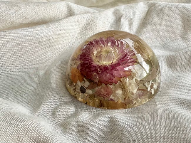 Flower Dome - Straw Flower, Bunny Tail & Natives