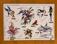 Image 1 of Bruno Coccioli’s production sheet B43