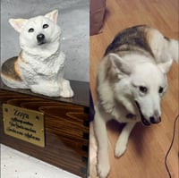 Image 3 of Custom Engraved Handpainted Siberian Husky Urn For Ashes Pet Portrait To Your Photos