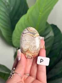 Image 8 of MEXICAN LACE AGATE PALM STONES