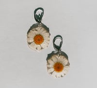 Image 2 of White Daisy Dangles 