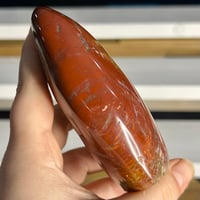 Image 3 of Petrified Wood Freeform (20B)