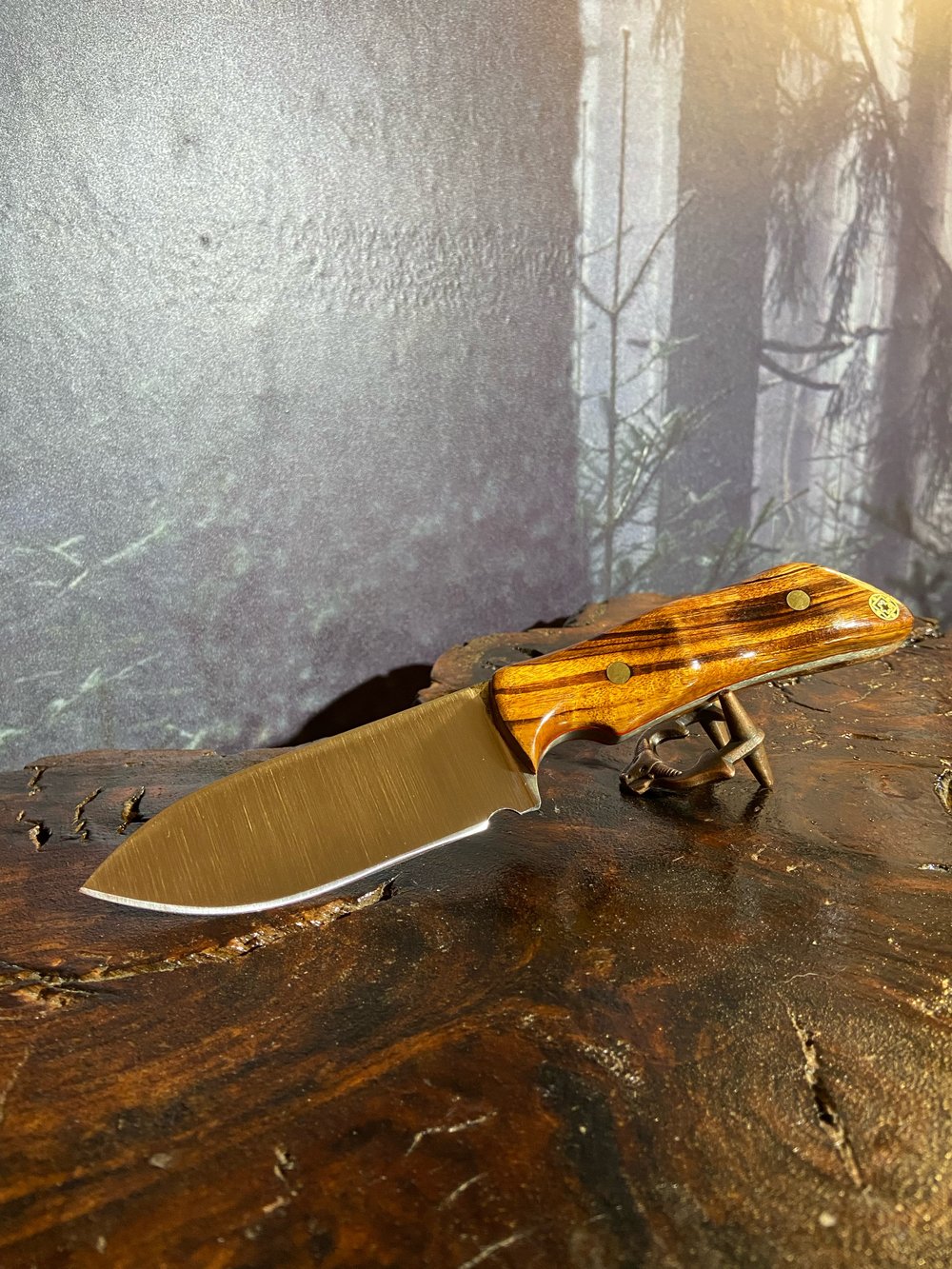 Image of Nice little camp knife