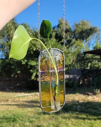 Image 4 of Iridescent Amber Propagation Holder
