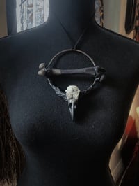 Image 4 of Misanthrope 