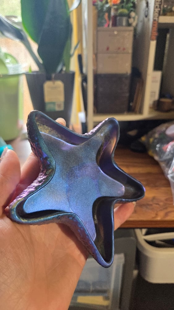 Image of Starfish Dish