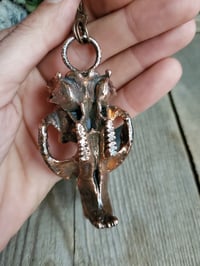 Image 7 of Muskrat Skull with Moonstone