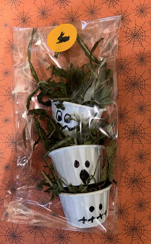 Image of Individual Halloween enrichment toys and treats 