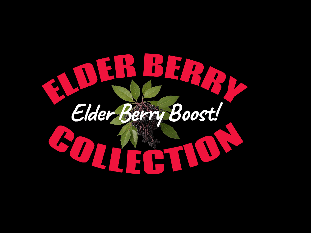 ELDER BERRY BOOST! Berries/Syrup. Immunity-Herpes-Pathogens-Virus-Cell Protector-Respiratory.