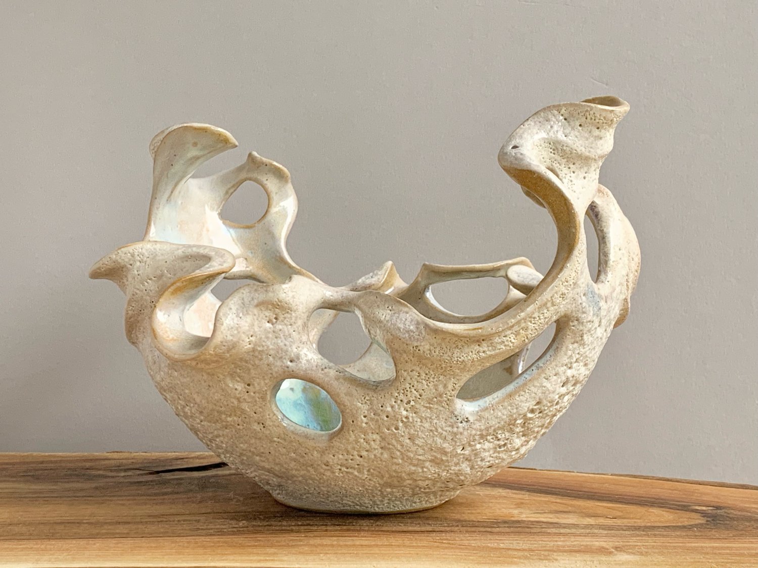 Image of Shell Sculpture 