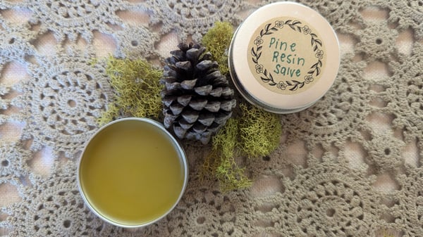 Image of Pine Resin Salve