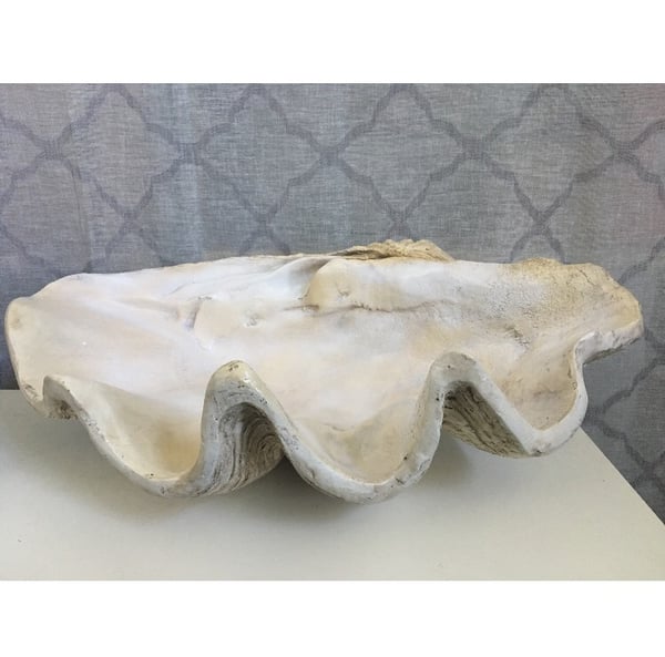 Image of Giant Clam Shell