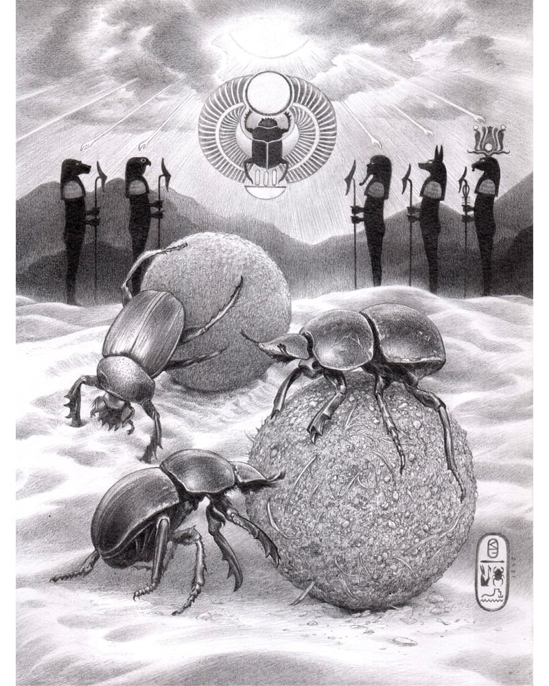 Image of " Dung Beetles " (ORIGINAL)