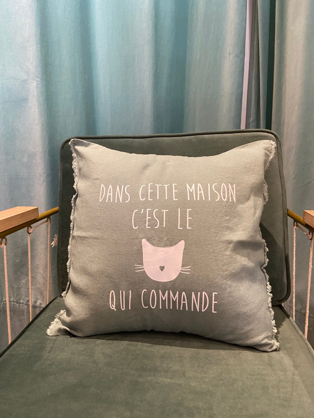 Image of Chat qui commande 