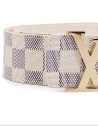 Image 3 of The Reagan Belt