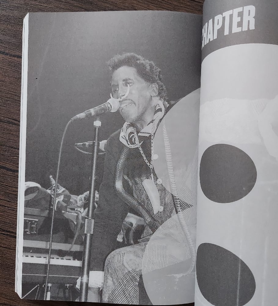 I Put a Spell on You: The Bizarre Life of Screamin' Jay Hawkins, by Steve Bergsman