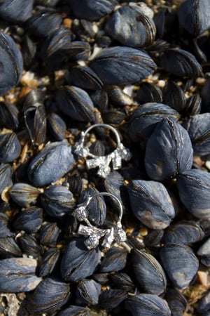 Image of Silver Gumnut Hoops