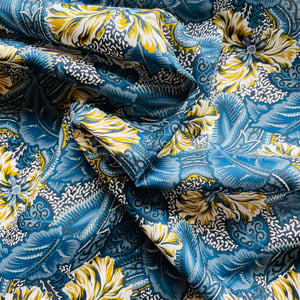 Image of STAR BURST ( A )