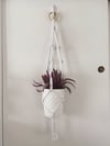 Polka Dot Macrame Plant Hanger