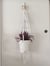 Image of Polka Dot Macrame Plant Hanger