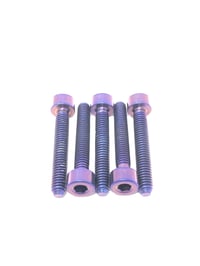 Image 2 of Titanium SF Fuel Door Bolts