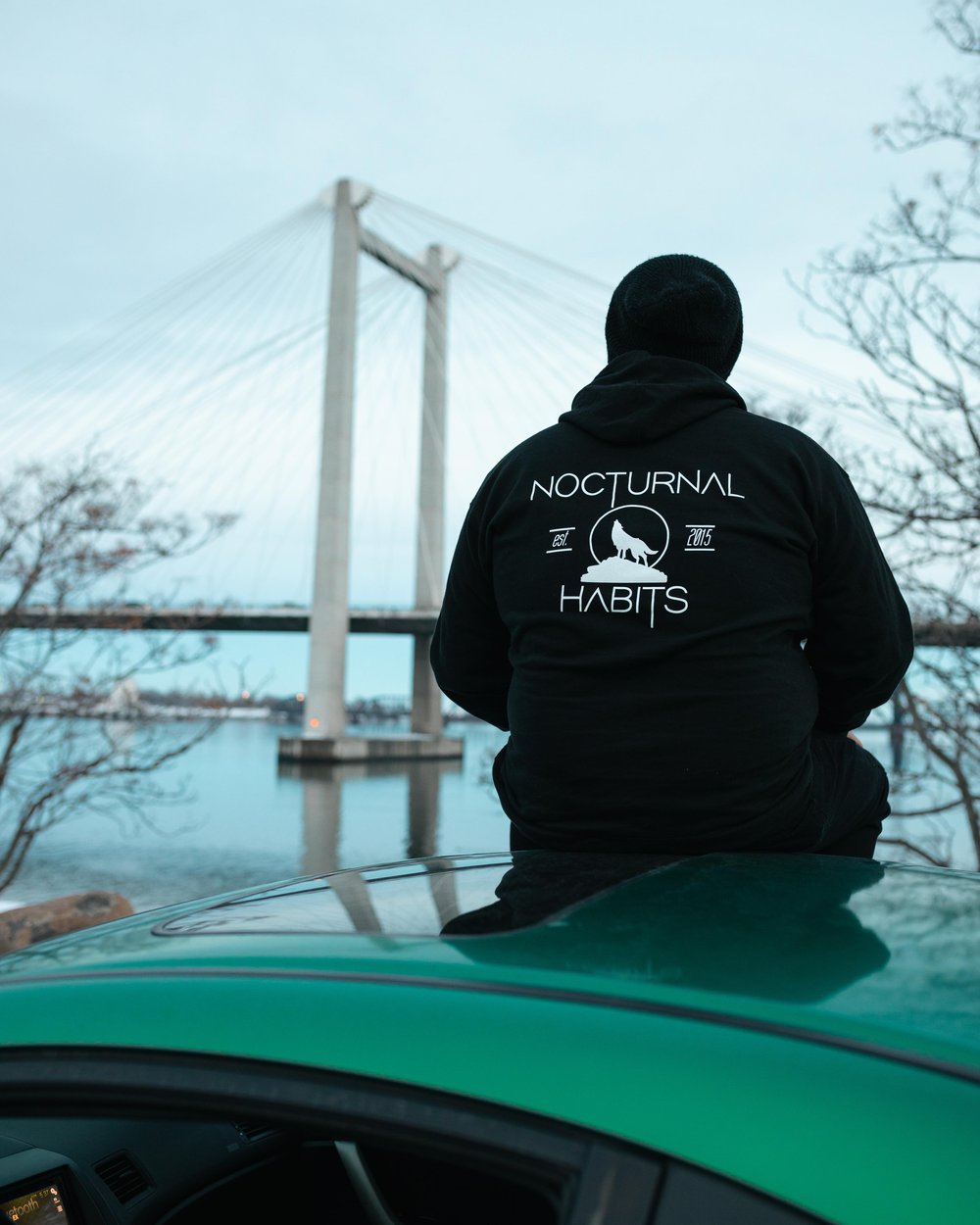Image of WolfPack Hoodie
