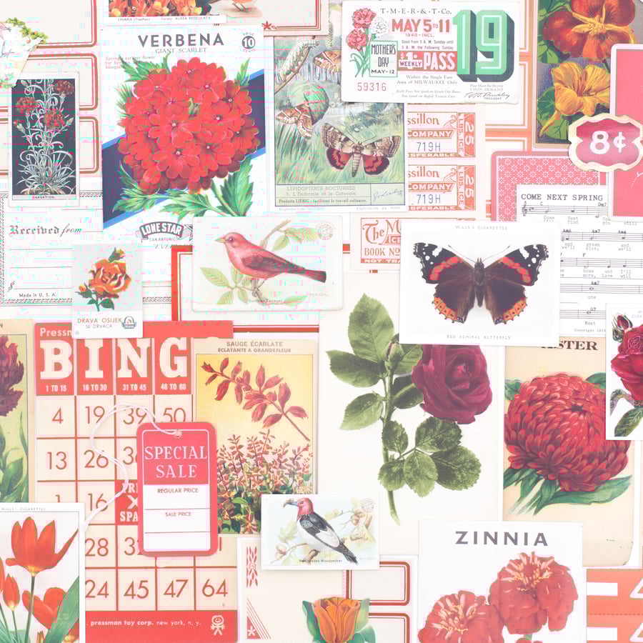 Image of Red Spring Ephemera Bundle