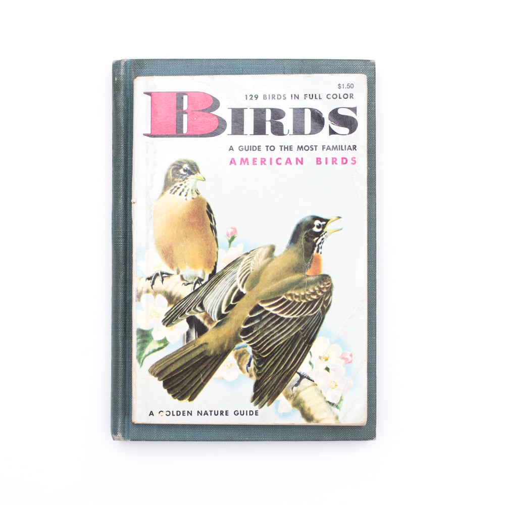 Image of Birds Golden Guide