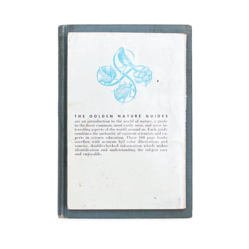 Image of Birds Golden Guide