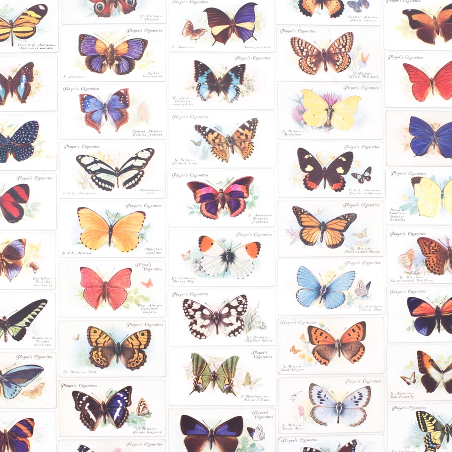 Image of Butterflies Cigarette Cards - Set of 8