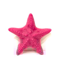 Sea Star Wax