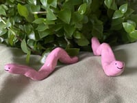 A REALLY CLEAN WORM (*wow*)